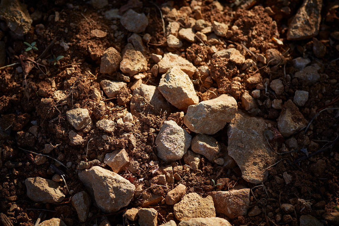 Clay-limestone soil with limestony predominance